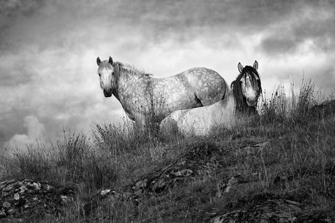 Karen Bennett 'Island Duo' photography on canvas 89x63.5cm