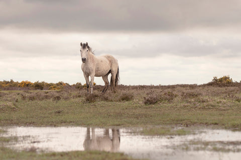 Karen Bennett 'On Reflection' photography on fine art paper 46x30.5cm