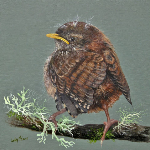 Lesley McLaren 'Little Wren' oil on gesso board 15x15cm