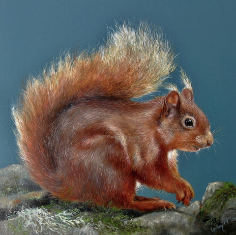 Lesley McLaren 'Red Squirrel on a Drystone Dyke' oil on gesso board 30x30cm