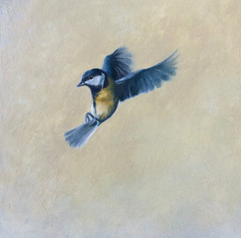 Lindsay Turk 'Paridae' oil on board 25x25cm (37x37cm)