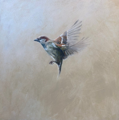 Lindsay Turk 'Passeridae' oil on board 25x25cm (37x37cm)