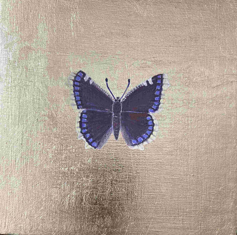 Mariella Baldwin 'Camberwell Beauty Butterfly' casein and Dutch metal leaf on panel 15x15cm