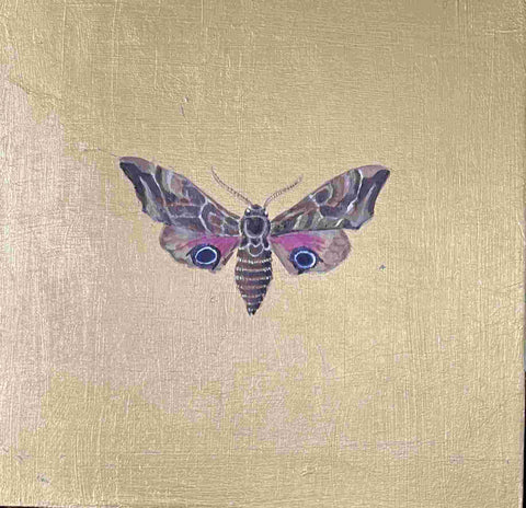 Mariella Baldwin 'Eyed Hawk Moth' casein and Dutch metal leaf on panel 15x15cm