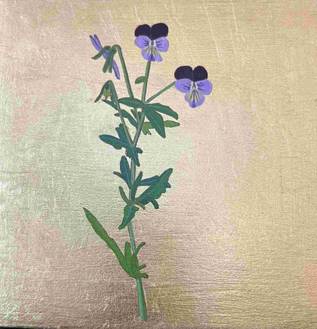 Mariella Baldwin 'Violet Viola 'Heartsease' casein and Dutch metal leaf on panel 15x15cm