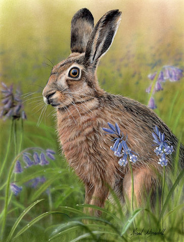 Nigel Artingstall ‘Bluebell Meadow’ gouache on watercolour board 30.5x23cm