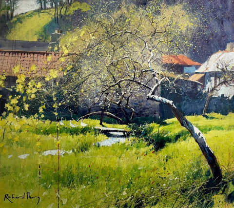 Richard Thorn 'June in the Orchard' watercolour inks on paper 42x36cm