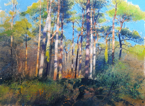 Richard Thorn 'Pine Cathedral' watercolour inks on paper 39x55cm