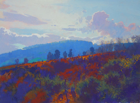 Richard Thorn 'Silver Lining' watercolour inks on paper 32x34cm