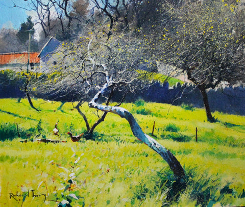Richard Thorn 'The Quiet Orchard' watercolour inks on paper 42x36cm