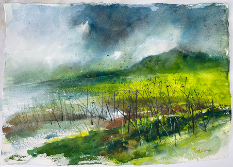 Rod Craig 'Higher Bound' watercolour on handmade rag paper 41x53cm