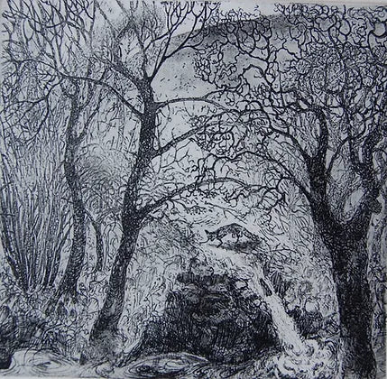 Flora McLachlan 'In a Wild Place' etching 9x10cm (framed)