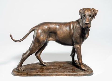 Tessa Pullan ‘Great Dane’ bronze limited edition 2/ 9 H10in x L13in (25.5 x 33cm)