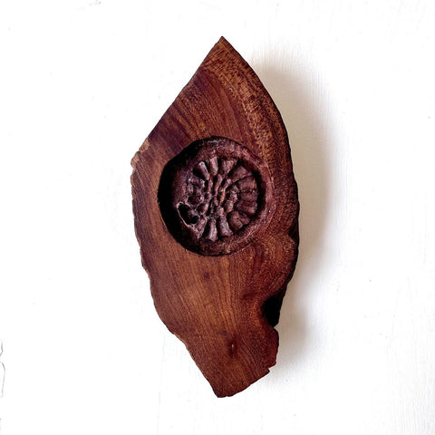 Alasdair Alexander ‘Ammonite II’ elm 25x11cm