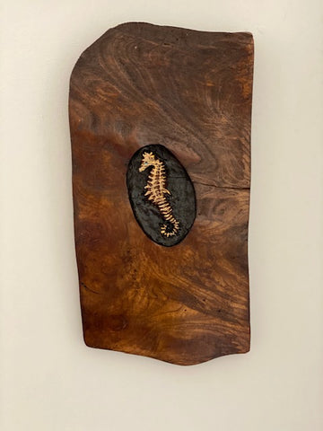 Alasdair Alexander 'Large Seahorse' Elm H36cm W18cm D2cm