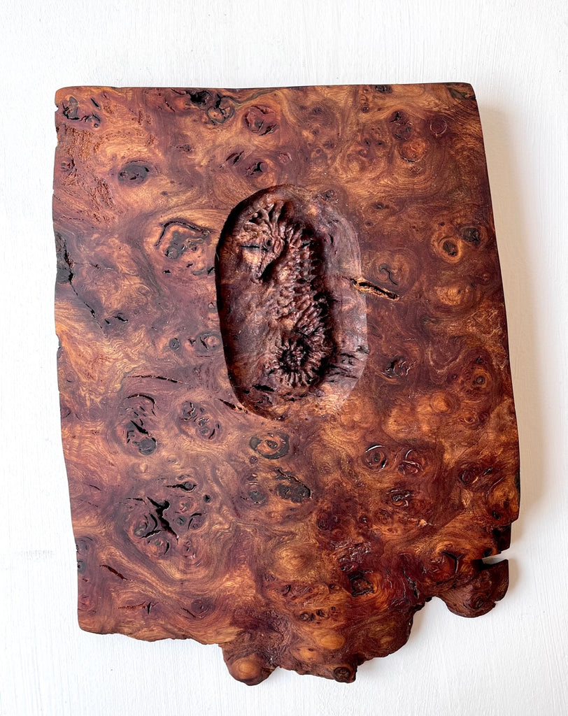 Alasdair Alexander ‘Seahorse II’ burr elm 34x25cm