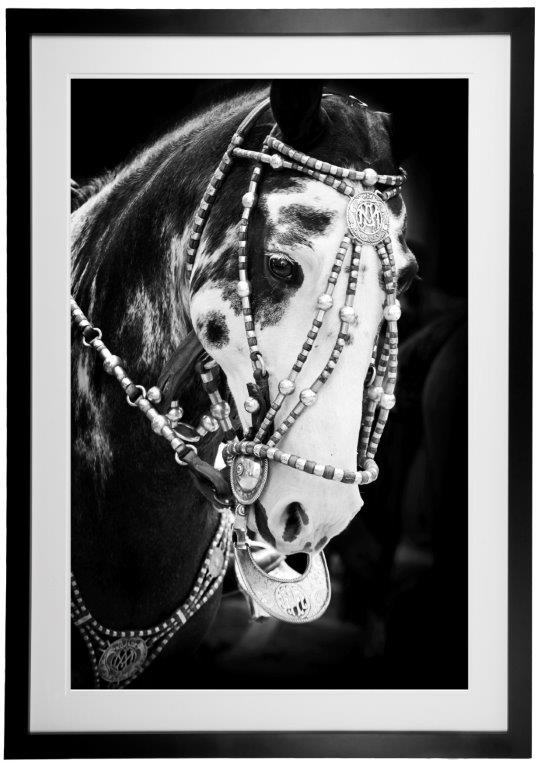 Alice Gipps photograph at Iona House Gallery