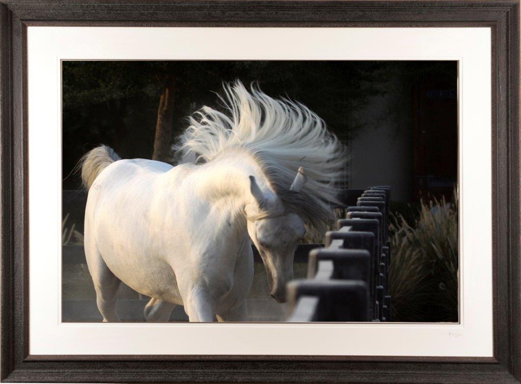 Alice Gipps photograph at Iona House gallery