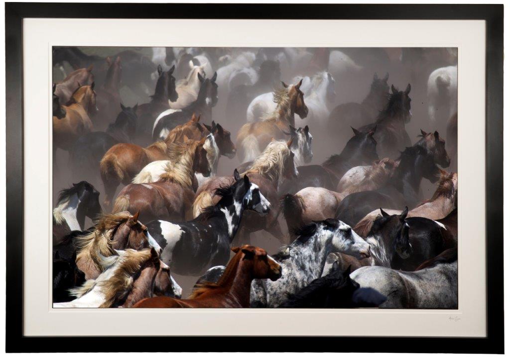 Alice Gipps photograph at Iona House Gallery