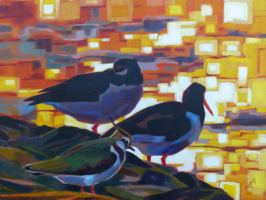 Lapwings and Oystercatcher birds by Brin Edwards at Iona House Gallery