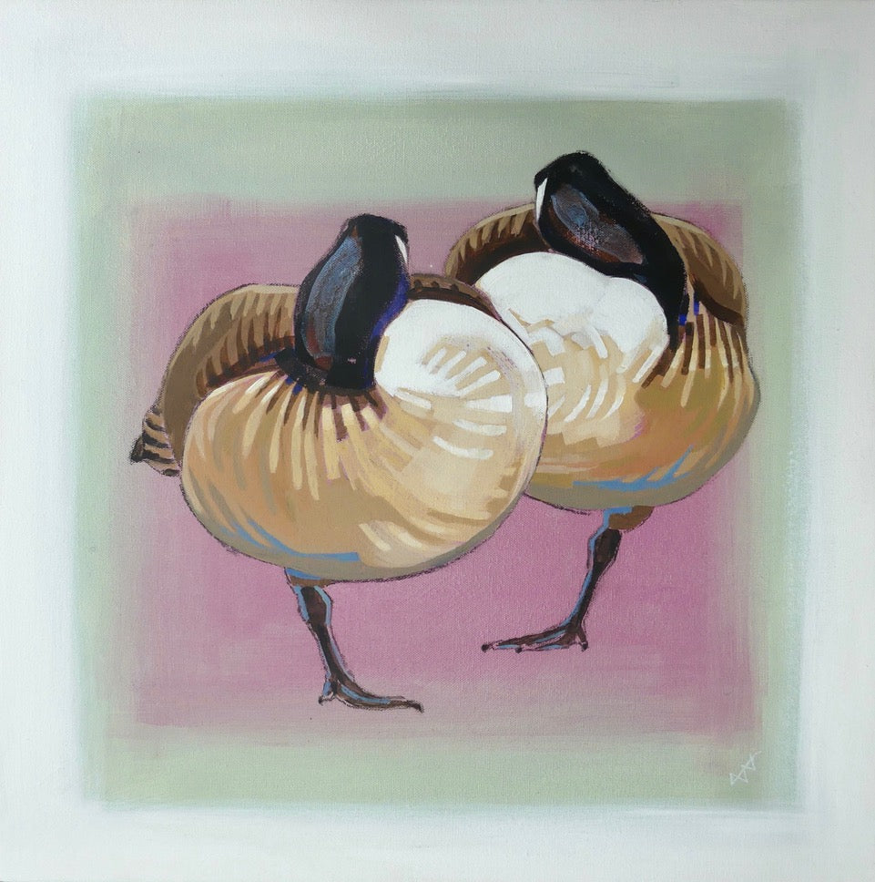 Sleeping Canada Geese by Brin Edwards at Iona House Gallery