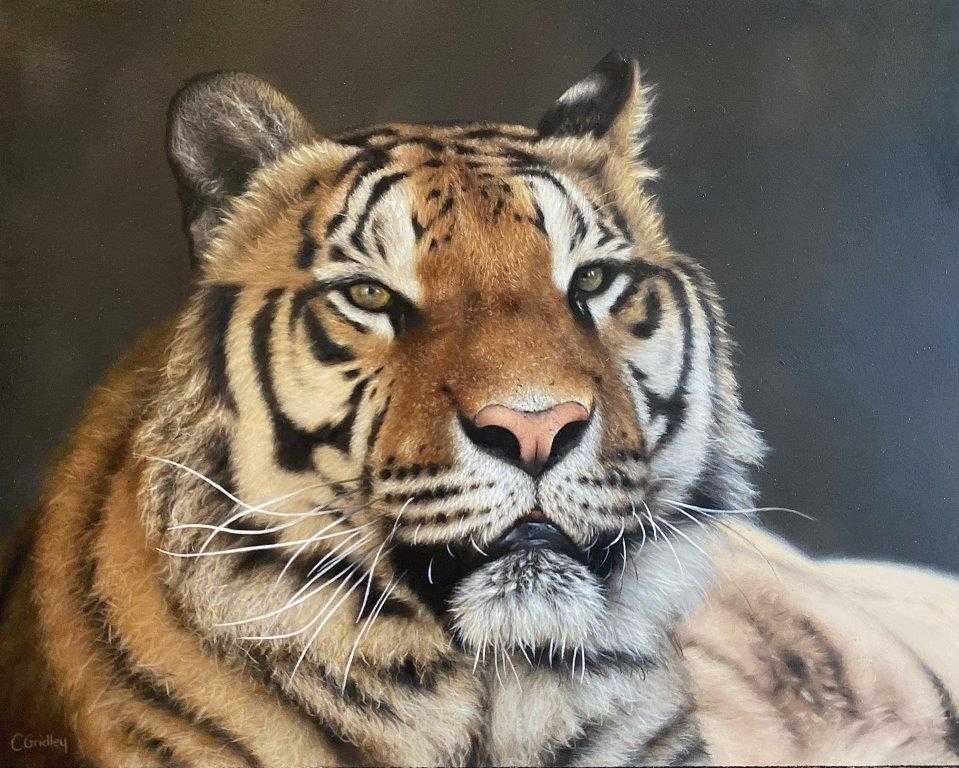 Charlotte Gridley 'Gravitas' oil on board 24x30cm