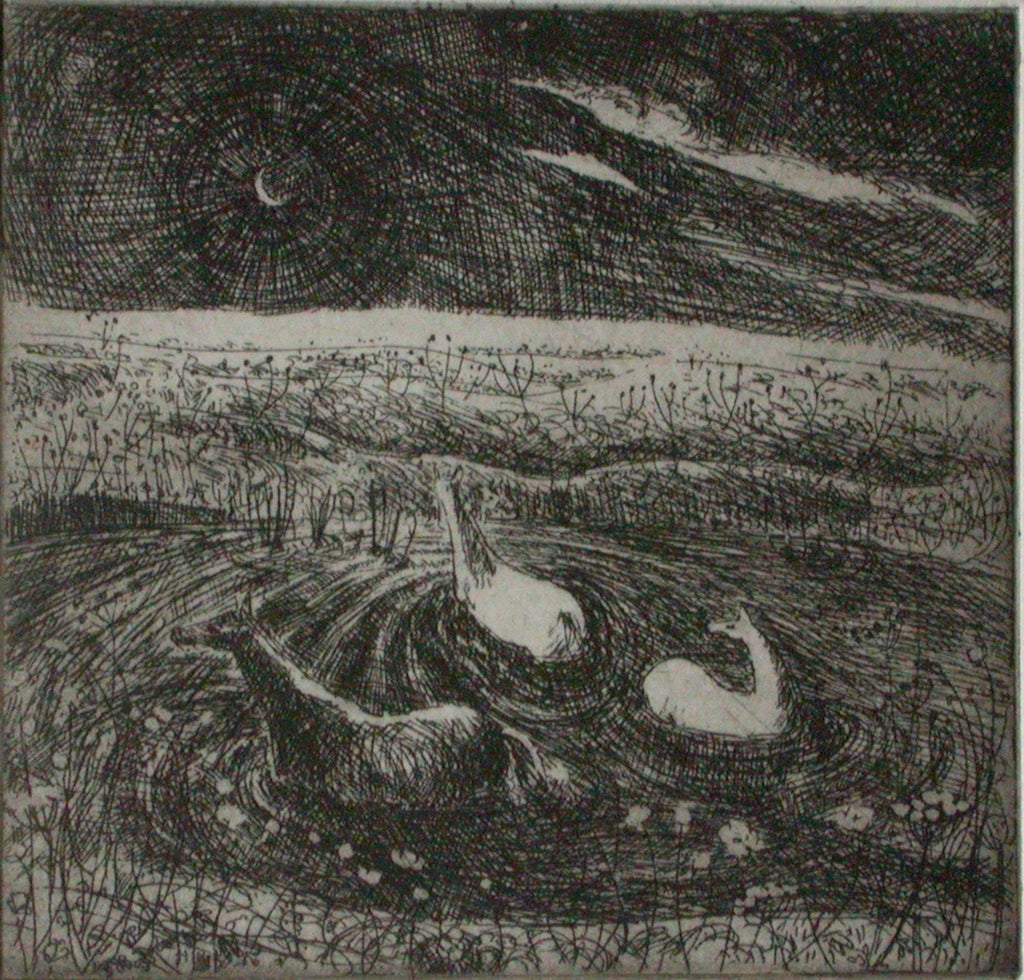 Flora McLachlan 'Horses Bathing' limited edition etching 7x8cm