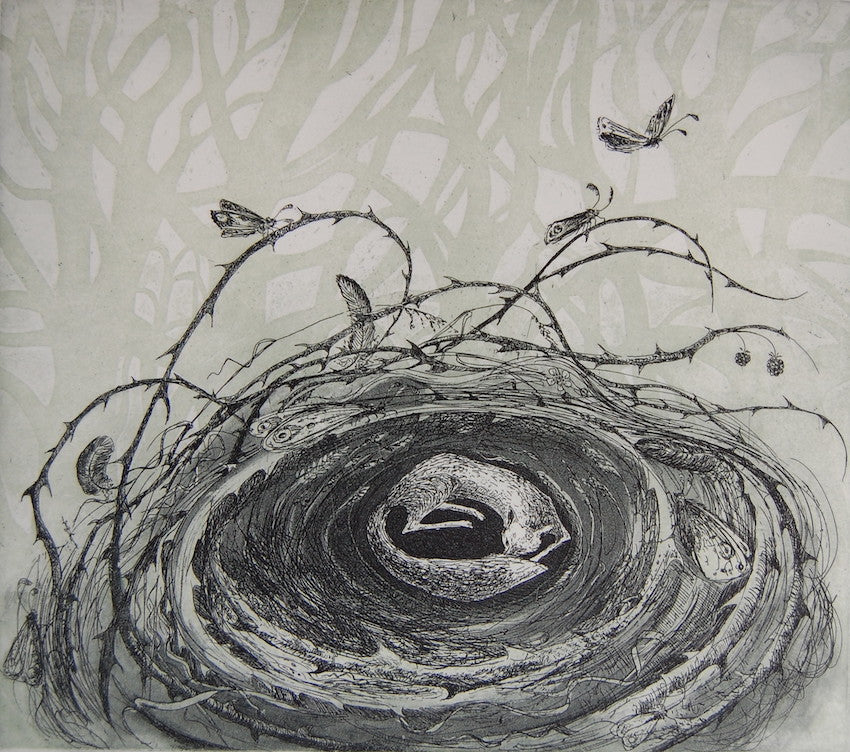 Fox nest by Flora McLachlan at Iona House Gallery