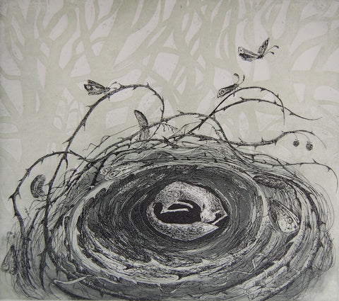 Flora McLachlan 'Fox-nest' limited edition etching 24x27cm