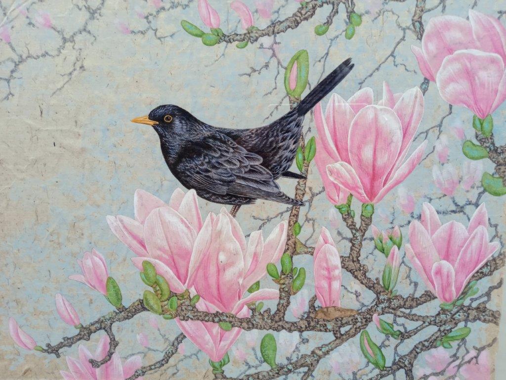 Gary Woodley 'Blackbird on Magnolia' 69x79cm Gouache on Indian grass paper