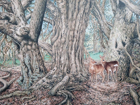 Gary Woodley 'Roe Deer' 70x90cm oil on canvas
