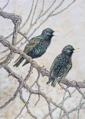 Gary Woodley 'Starlings' 64x32cm Gouache on Indian grass paper