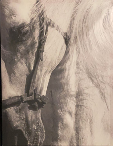Gillian Hughes 'Honour' photograph limited edition 120x90cm