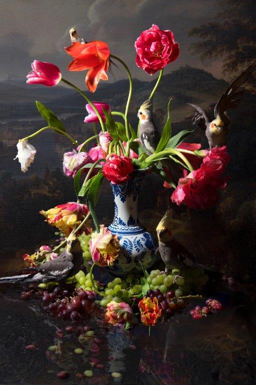Hans Withoos 'Crested Bird' ltd ed photograph 3 of 9 102x68cm