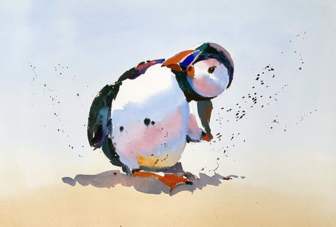 Jake Winkle 'Preening Puffin' watercolour 48x33cm