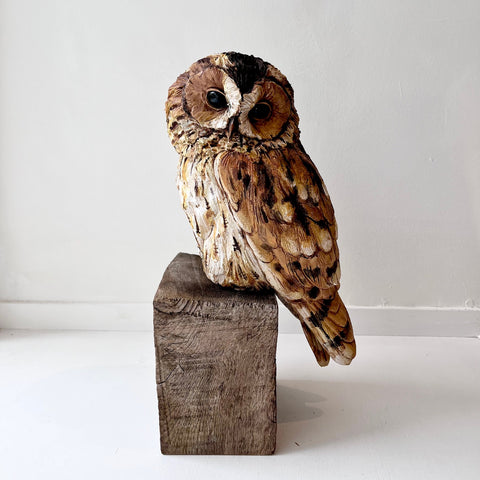 Karen Fawcett 'Tawny Owl' ceramic 34x20cm