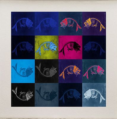 Matthew Andrews 'Sleeping Fish' Limited Edition print edition of 50 57x57cms