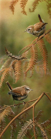 Nigel Artingstall ‘Wrens’ gouache on watercolour board 48x18cm