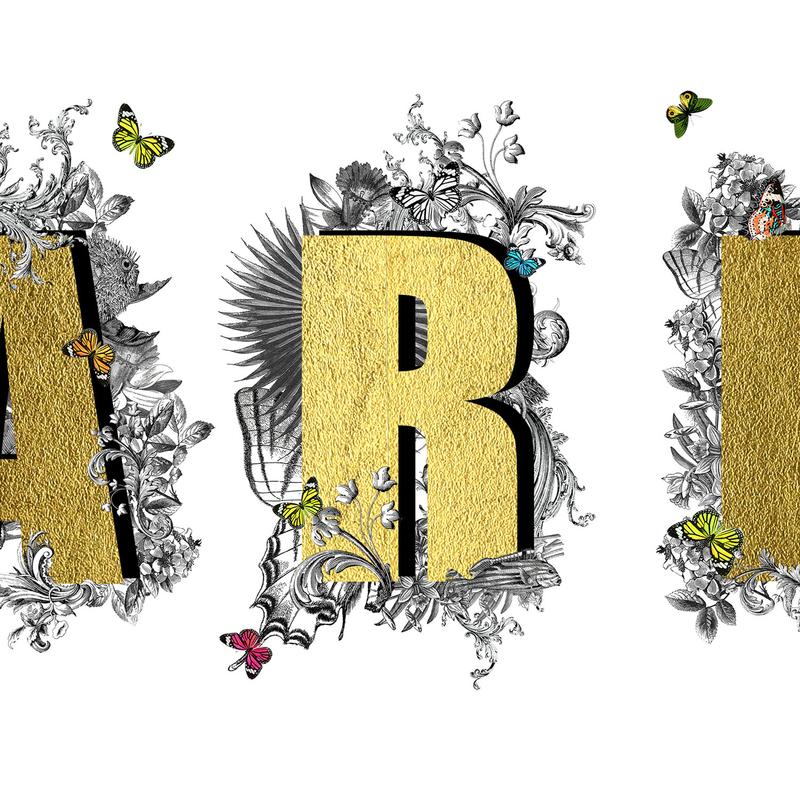 Paris lettering print with gold detail and butterfly decoration by Kristjana S Williams at Iona House Gallery