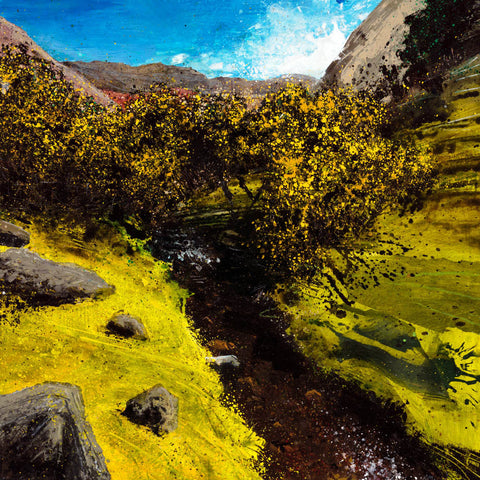 Rob Murray 'Spring Gorse' mixed media 51x51cm