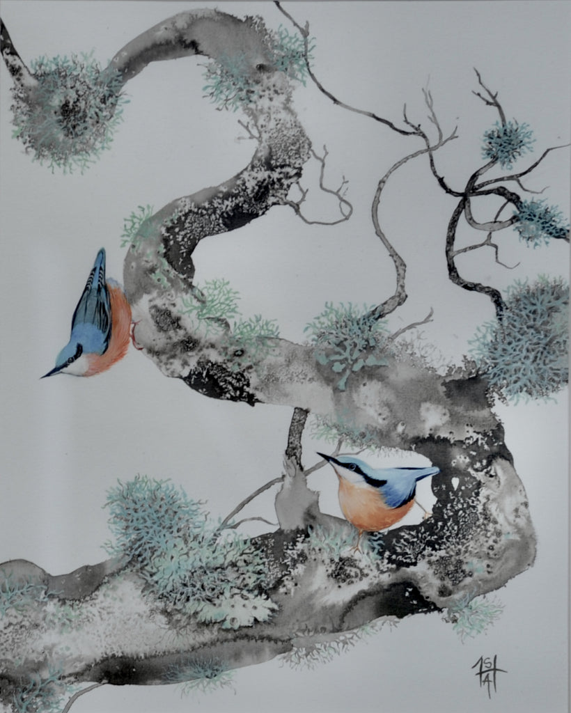 Sheila Anderson Hardy 'Nuthatches and Lichens' sumi-e ink and watercolour on paper 35x28cm (framed 53x43cm)
