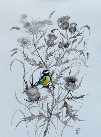 Sheila Anderson Hardy 'Thistle, Grasses and Great Tit' sumi-e ink and watercolour on paper 44.5x30.5cm (framed 61x46.5)