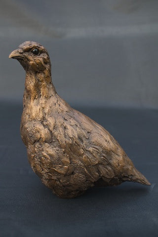 Simon Griffiths 'Male Partridge' cold cast bronze