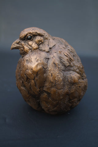 Simon Griffiths 'Female Partridge' cold cast bronze
