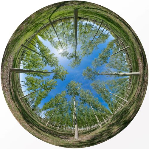 David Hall 'Soria Circular' on acrylic block 1of 15 110cms diameter