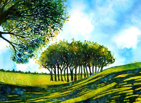 Sue Side 'Blenheim Copse' ink 14x19cm