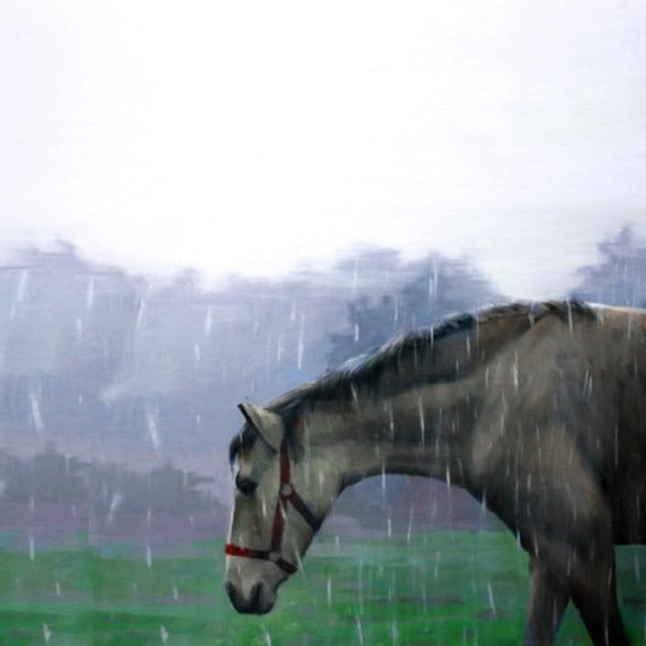 Susana Ragel at Iona House Gallery dappled grey horse wearing red headcollar, head bowed walking in a field through the rain