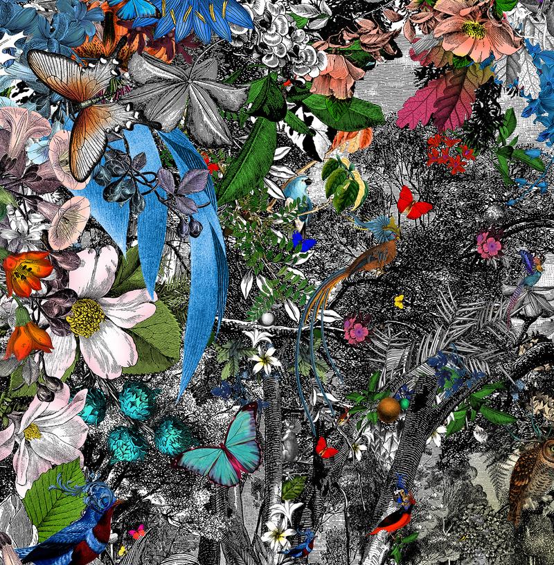 Menagerie of animals with intricate detailing by Kritjana S Williams at Iona House Gallery