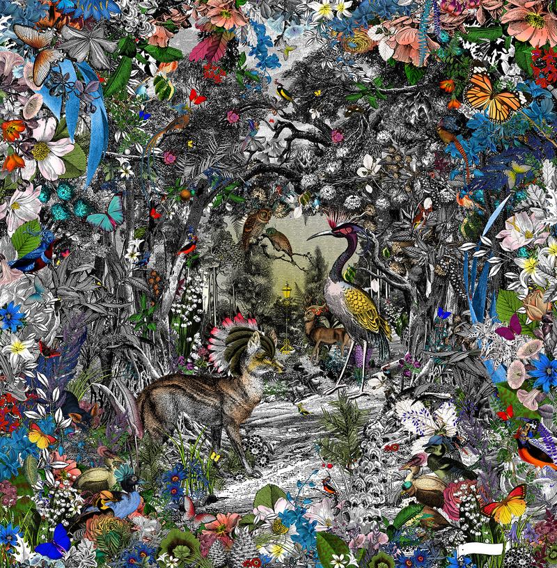 Menagerie of animals with intricate detailing by Kritjana S Williams at Iona House Gallery