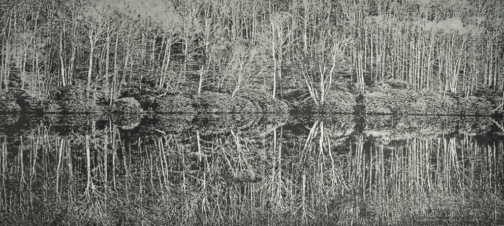 Original Trevor Price picture depicting a lake in the foreground and trees in the background